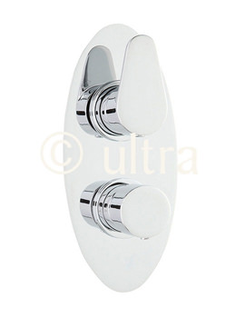 Tilt Thermostatic Twin Shower Valve With Diverter Oval Plate TILV02