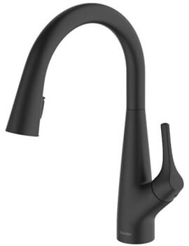 Clearwater Rosetta Pull-Out Black Kitchen Sink Mixer Tap With Filter Cartridge - Image